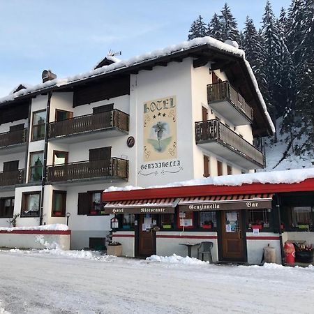 Hotel Genzianella Presenaio Zewnętrze zdjęcie